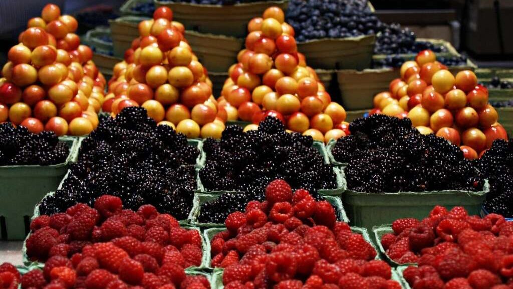 Vegane Ernährung gesund gestalten – Der umfassende Ratgeber