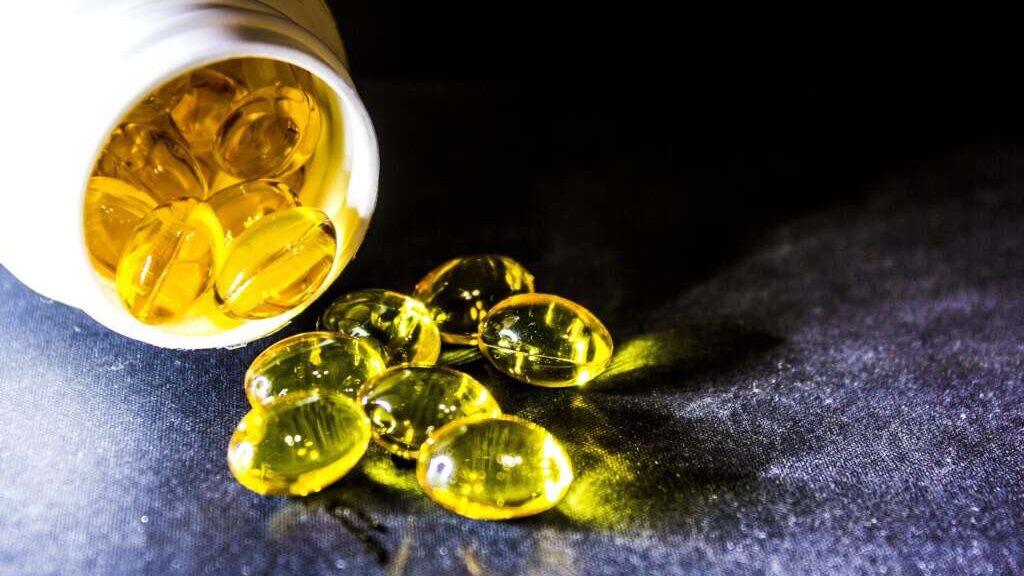 Omega 3 vegan – Warum diese Fettsäuren (nicht nur) für Veganer so wichtig sind