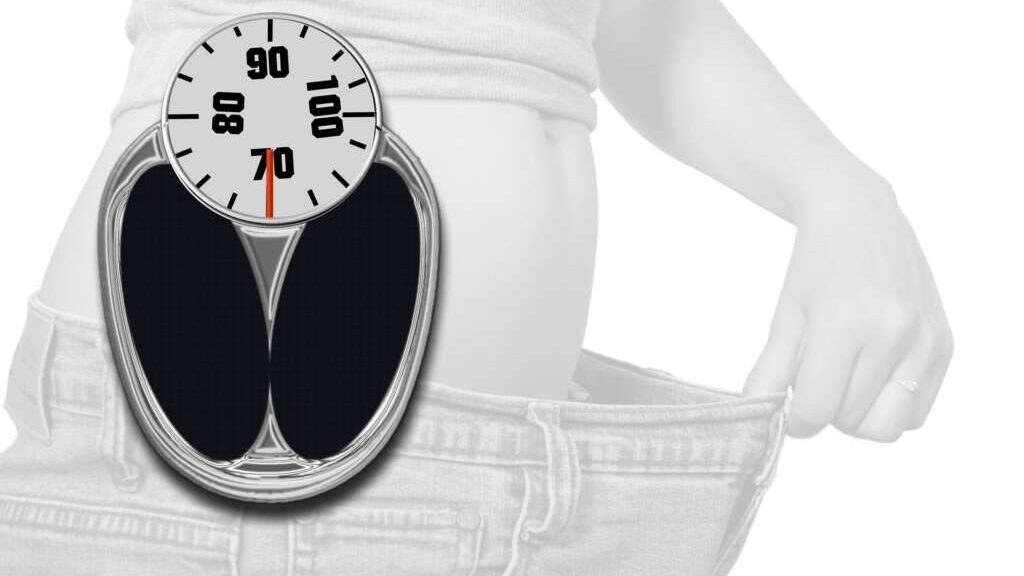 Vegan abnehmen – Gesund, ausgewogen und nachhaltig Gewicht verlieren